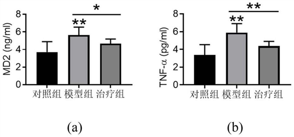 A kind of polypeptide analog and its application