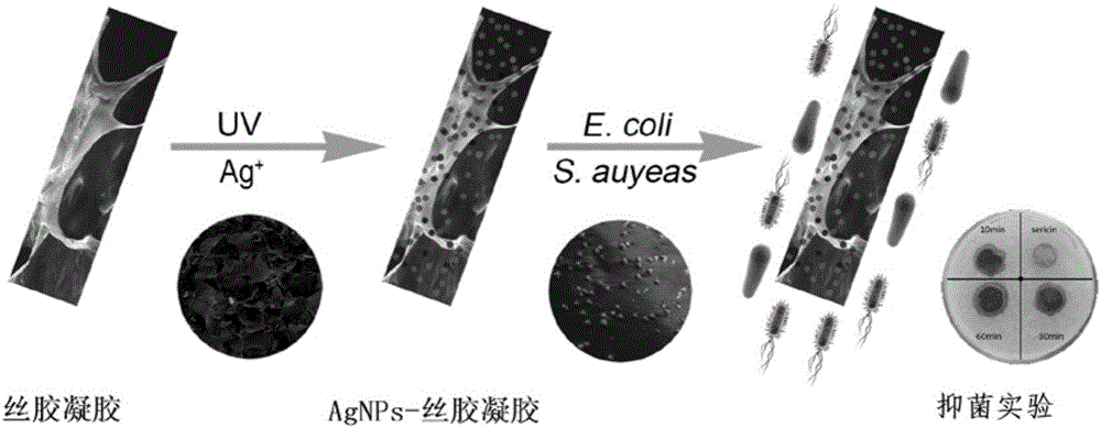 Preparation method of nano-silver hybrid sericin porous gel antibacterial material, product and application thereof