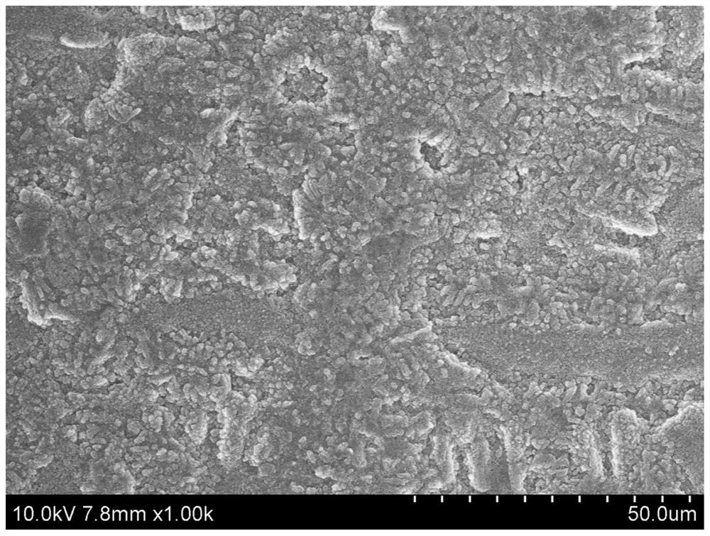 A kind of lithium metal alloy negative electrode material and its preparation method and application