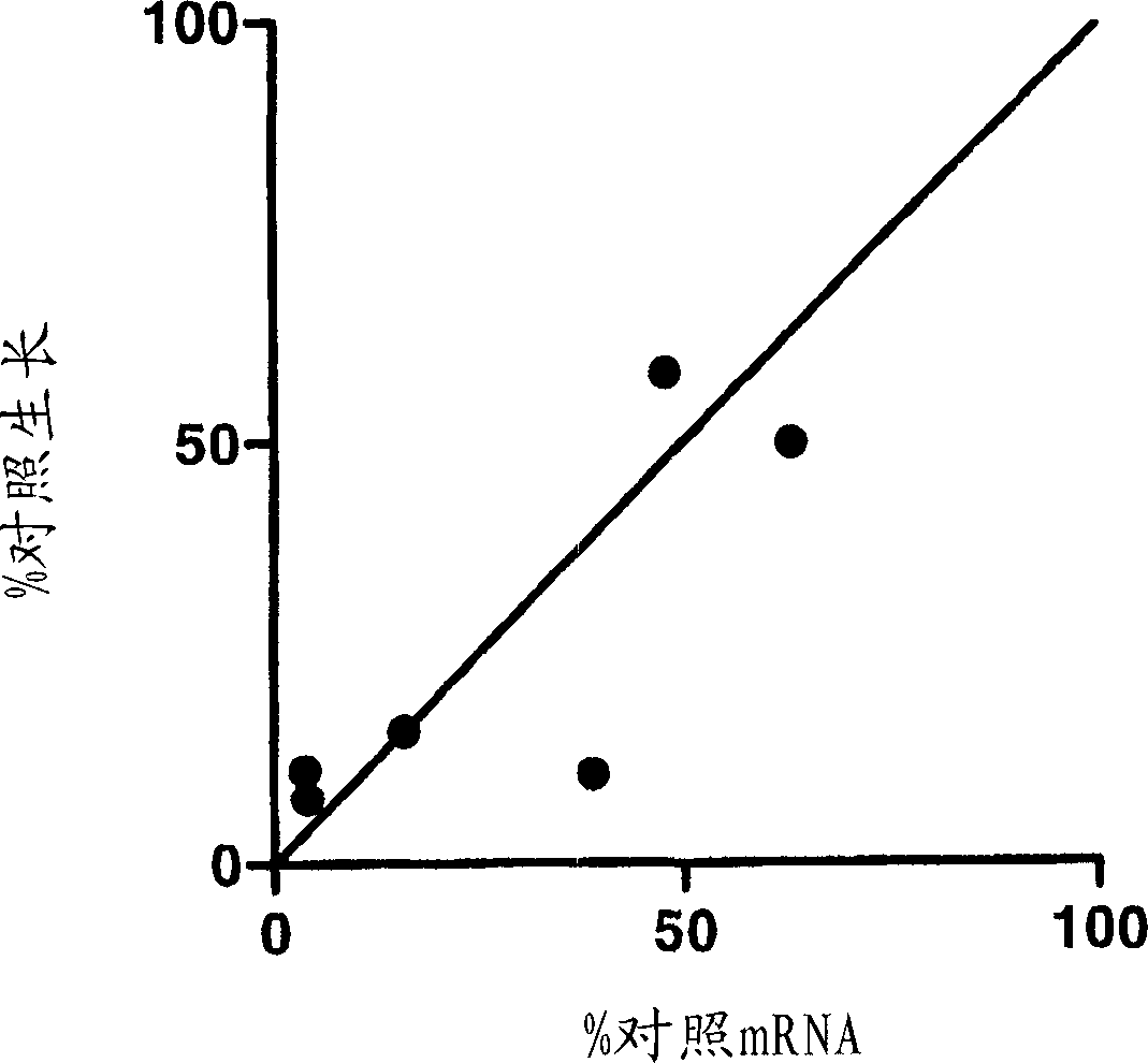 Synthetic lethal screen using RNA interference