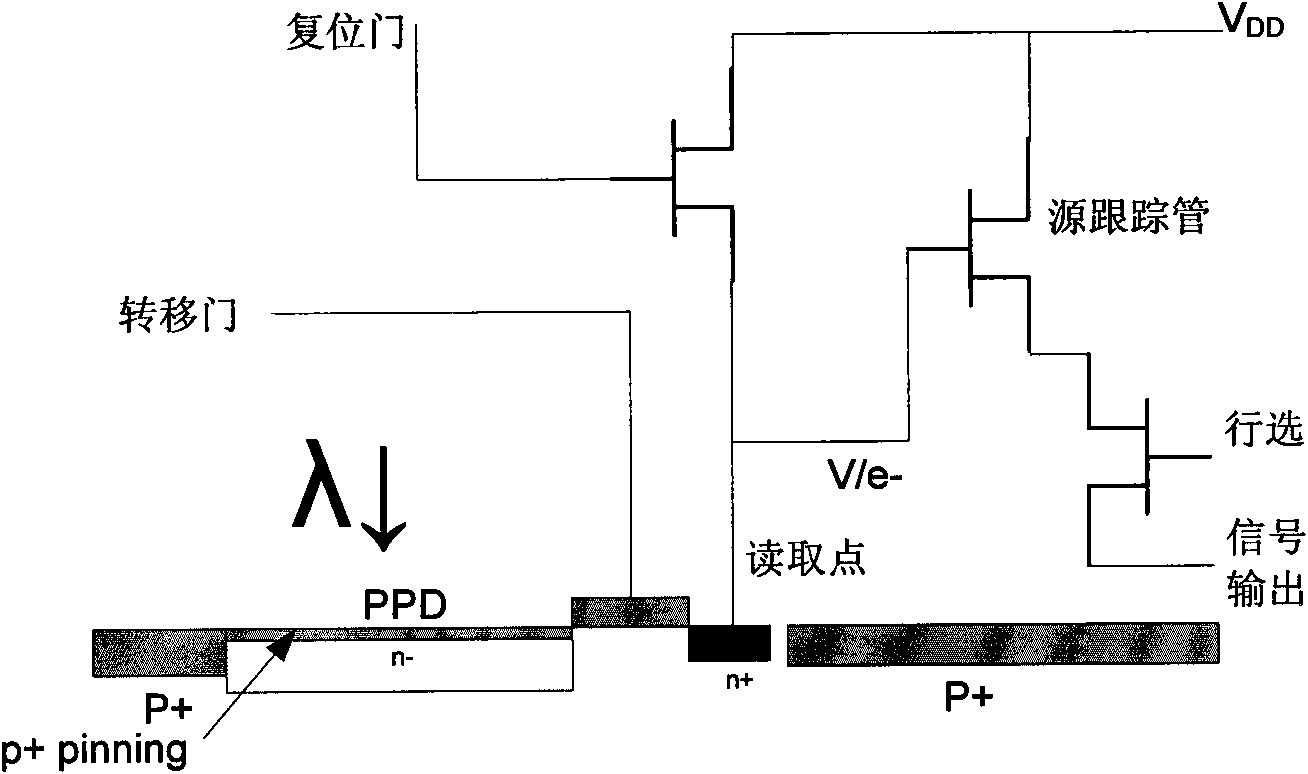 Multispectral photoreceptive device and sampling method thereof