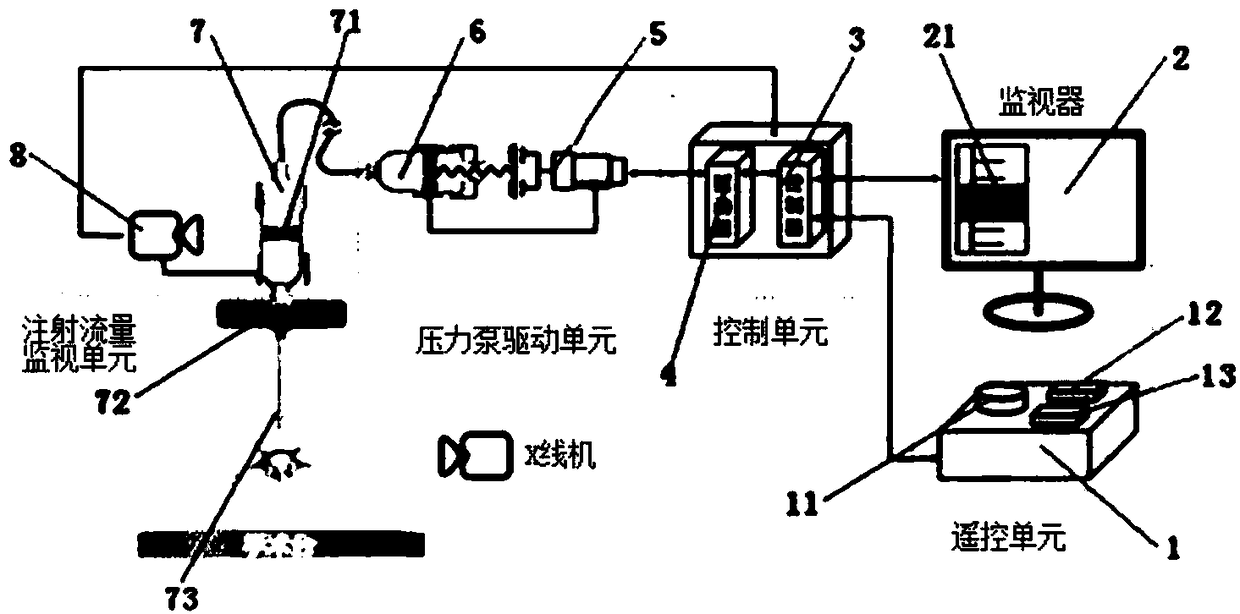 A remote control injection device for bone cement