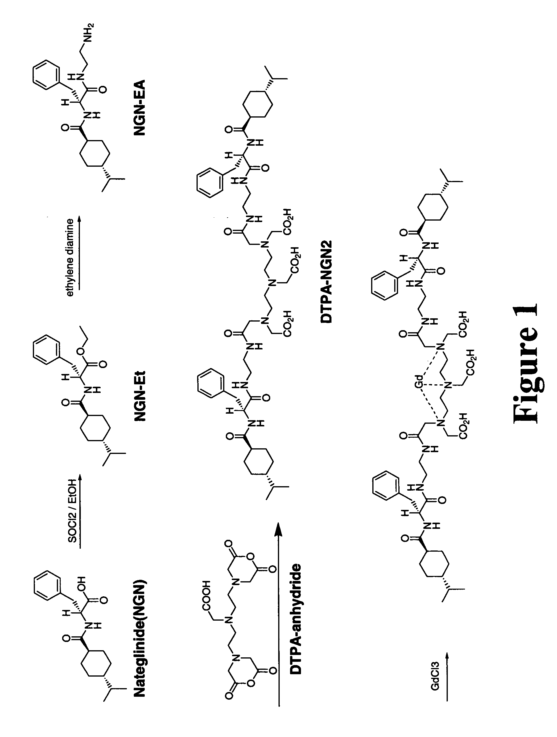 Mechanism-based targeted pancreatic beta cell imaging and therapy