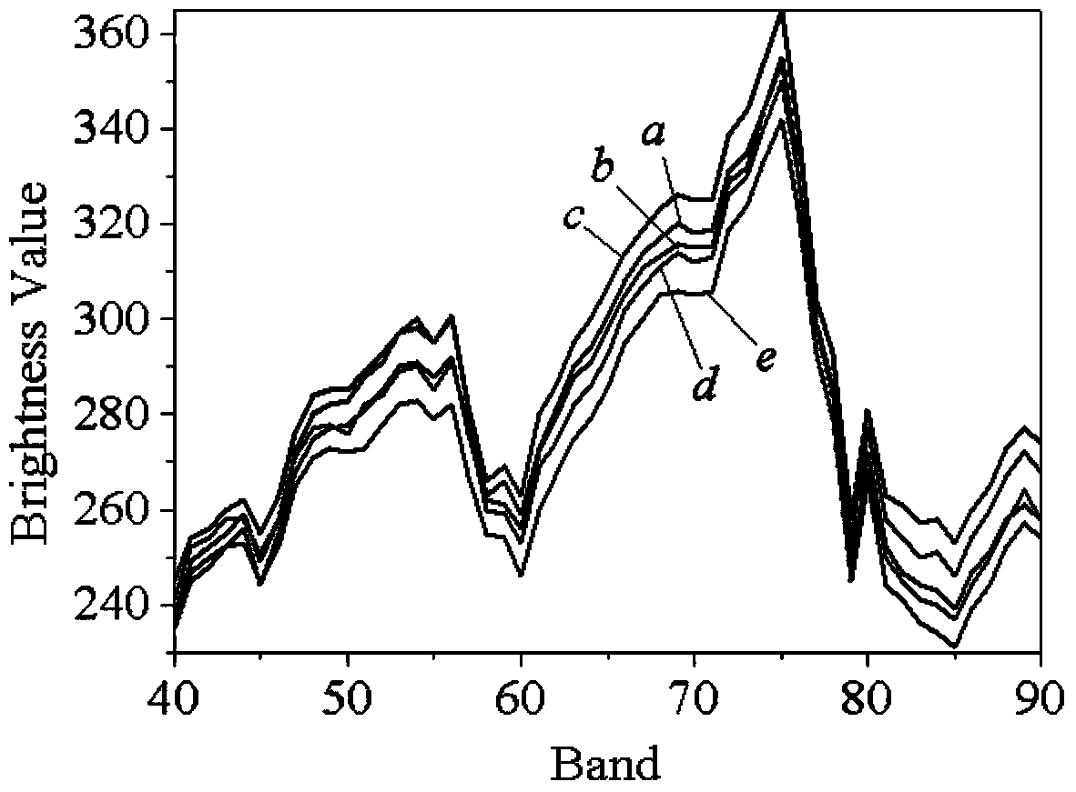 Hyperspectral remote sensing image classification method based on manifold neighbor measurement through local spectral angles