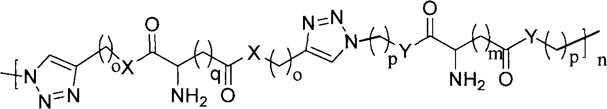 Cationic polymer and preparation method thereof