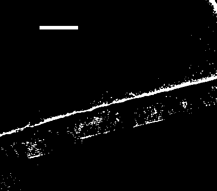 A kind of preparation method of anti-nitrogen hydrocracking catalyst