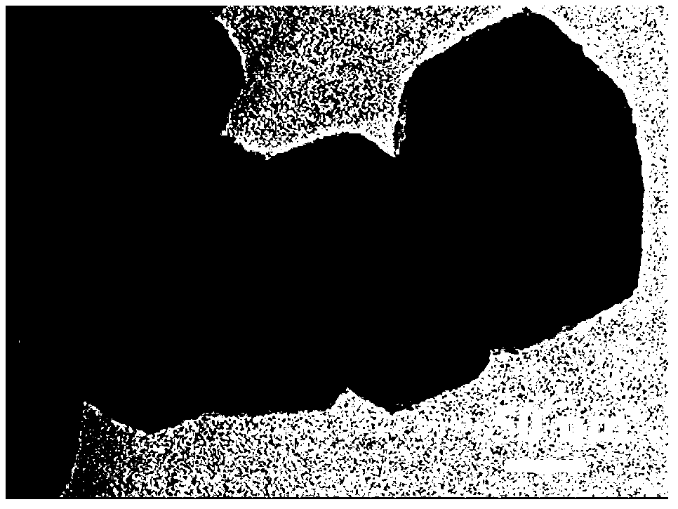 Method for hydrothermal synthesis of SnS2 nano-materials