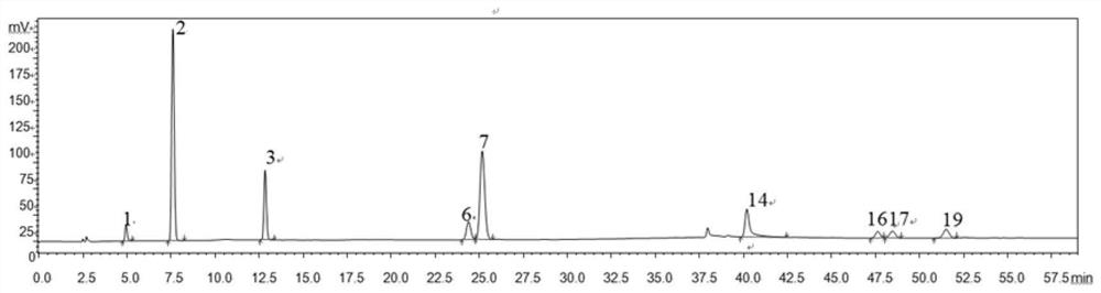 Fingerprint detection method of traditional Chinese medicine preparation for treating stroke