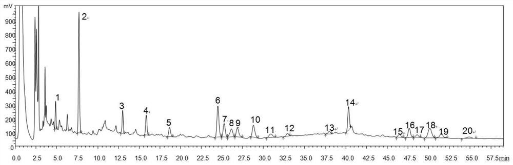 Fingerprint detection method of traditional Chinese medicine preparation for treating stroke