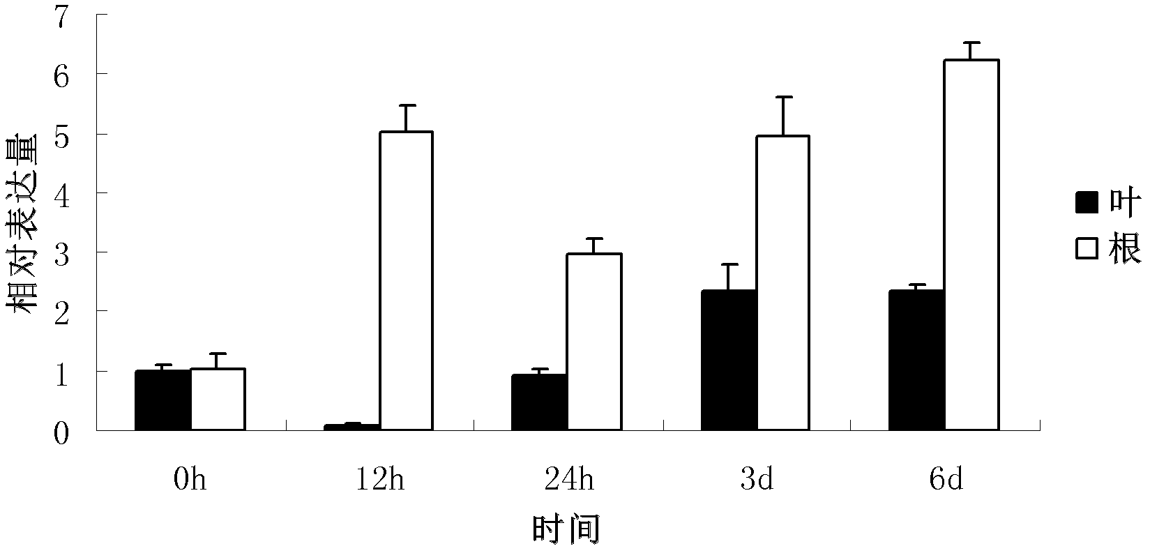 Malus xiaojinensis Cheng et Jiang MxHA5 protein, and coding gene and application thereof