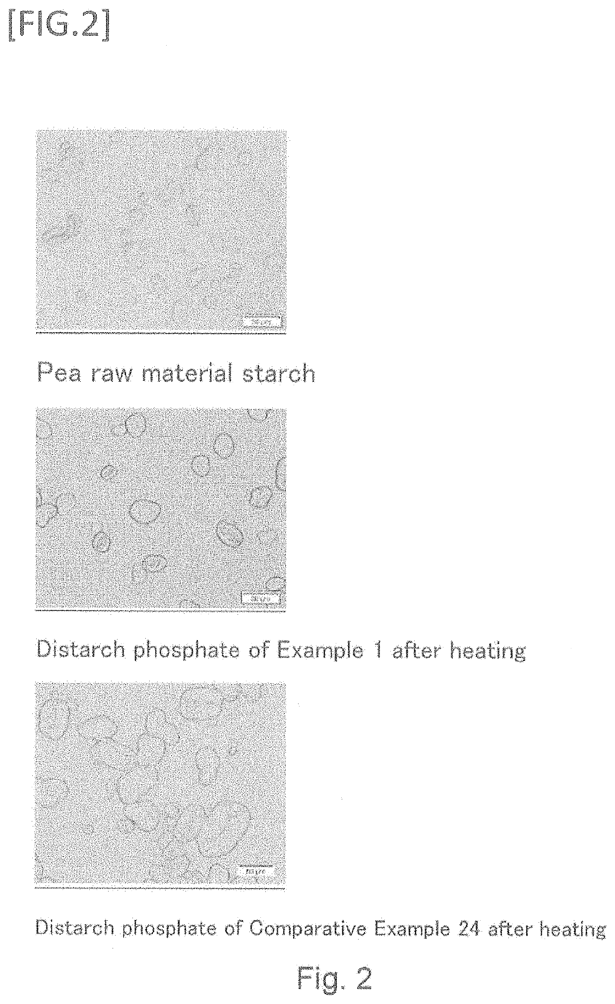 Starch with high dietary fiber content suitably usable in foods and beverages