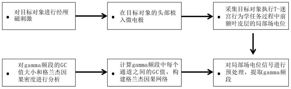 Method for detecting influence of transcranial magnetic stimulation on working memory based on Granger causality