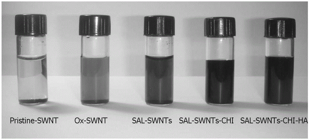 Cancer stem cell-targeting carbon nano-tube-salinomycin drug delivery system, preparation method and uses thereof