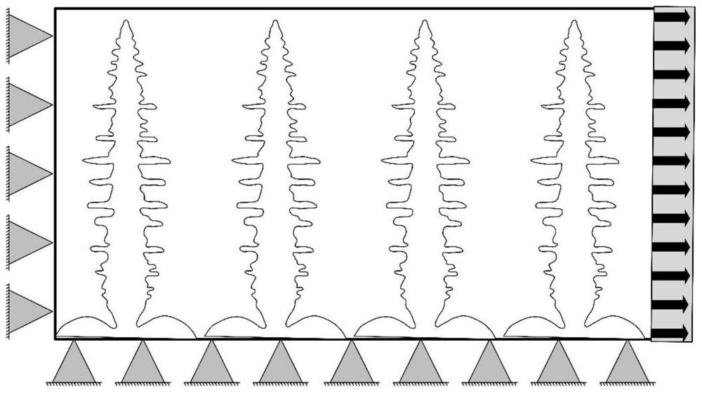 Calculation method for viscoplastic tensile deformation of columnar crystal structure in steel solidification process