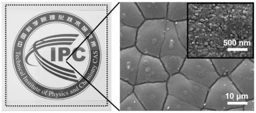 Underwater super-oleophobic material and preparation method thereof