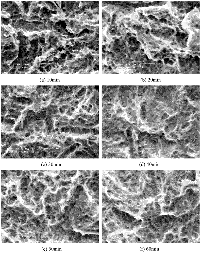 Preparation method for wettability controllable porous structure of titanium and titanium alloy surface