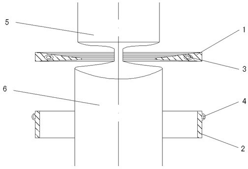 Thermal system and technology for producing float zone doped single crystal silicon having size phi of 6 inches