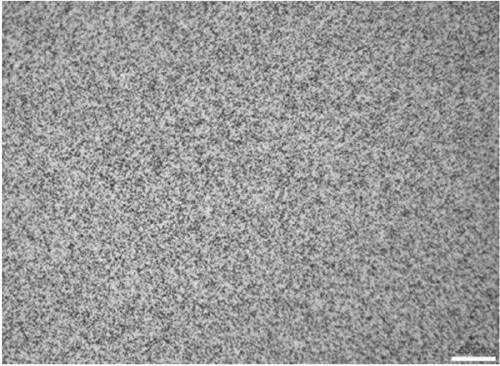 Preparation method of hot-working-state cobalt-based alloy rod wire