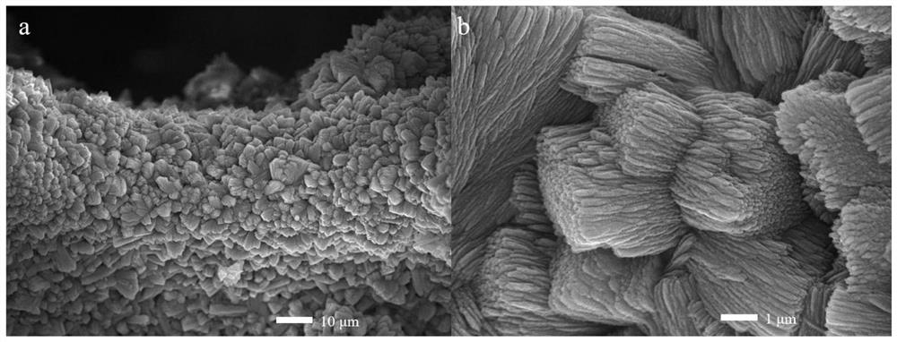 Modulated nickel/cobalt bimetal MOF (Metal Organic Framework)-based electrocatalyst as well as preparation method and application thereof