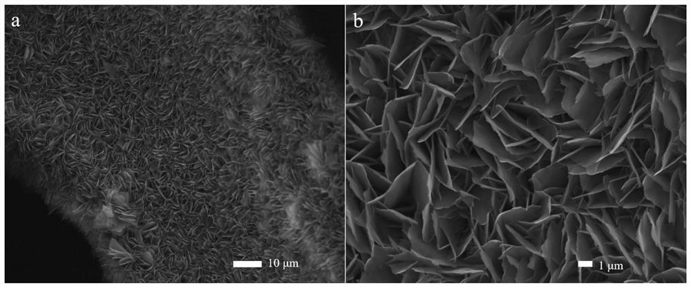 Modulated nickel/cobalt bimetal MOF (Metal Organic Framework)-based electrocatalyst as well as preparation method and application thereof