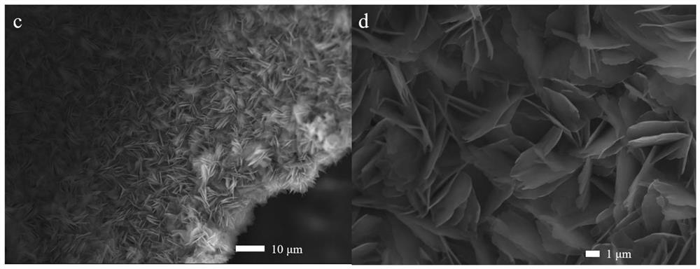 Modulated nickel/cobalt bimetal MOF (Metal Organic Framework)-based electrocatalyst as well as preparation method and application thereof