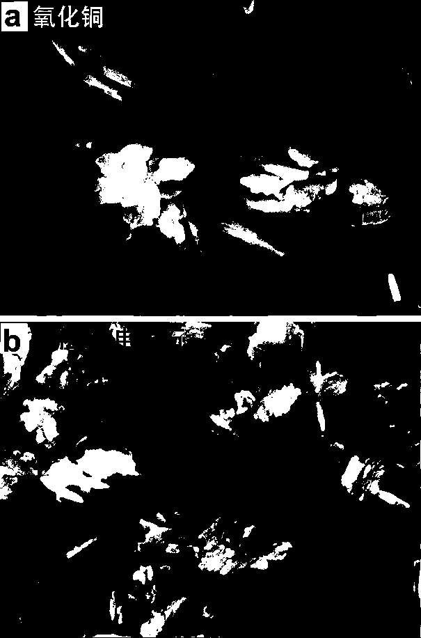 Preparation method of zero-dimensional/two-dimensional structure copper oxide and tourmaline composite photocatalytic material