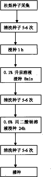 Method for promoting germination through release of pyrus betulaefolia seed dormancy by sodium malonate