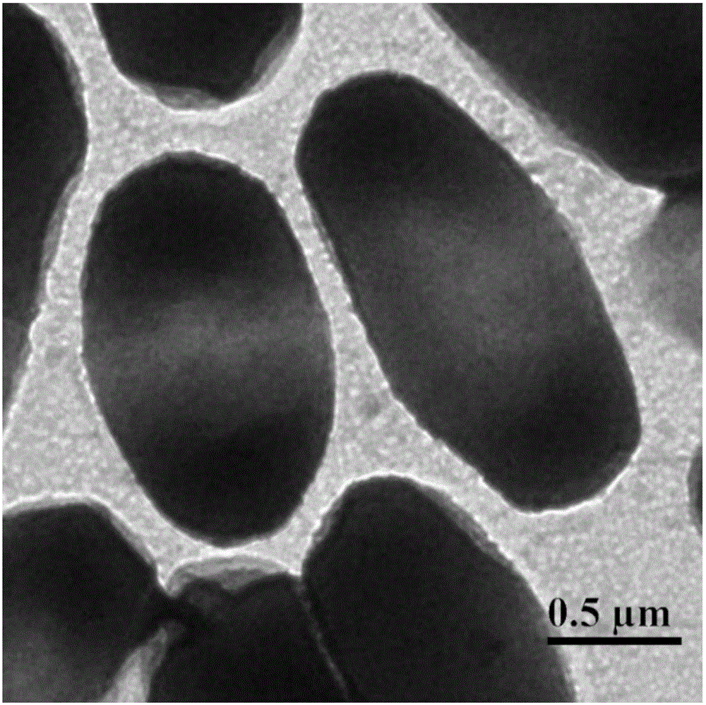 Antibacterial peptoid and vesicle and preparation method and application thereof