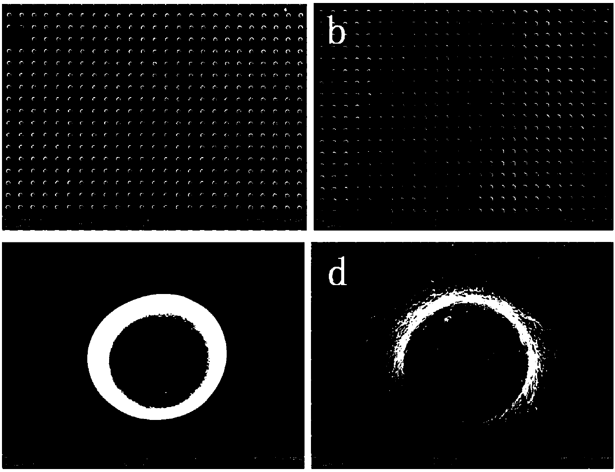 Preparation method of flexible thin film based on graphene micro column array