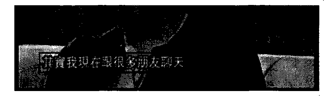 Method and device for segmenting characters from video image