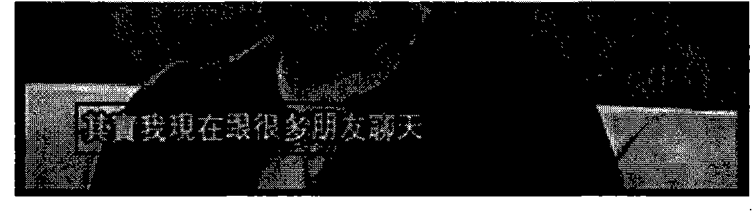 Method and device for segmenting characters from video image