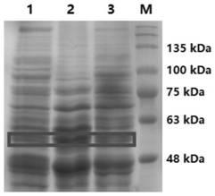 Method for producing gamma-aminobutyric acid through catalysis of saccharomyces cerevisiae cells and gamma-aminobutyric acid