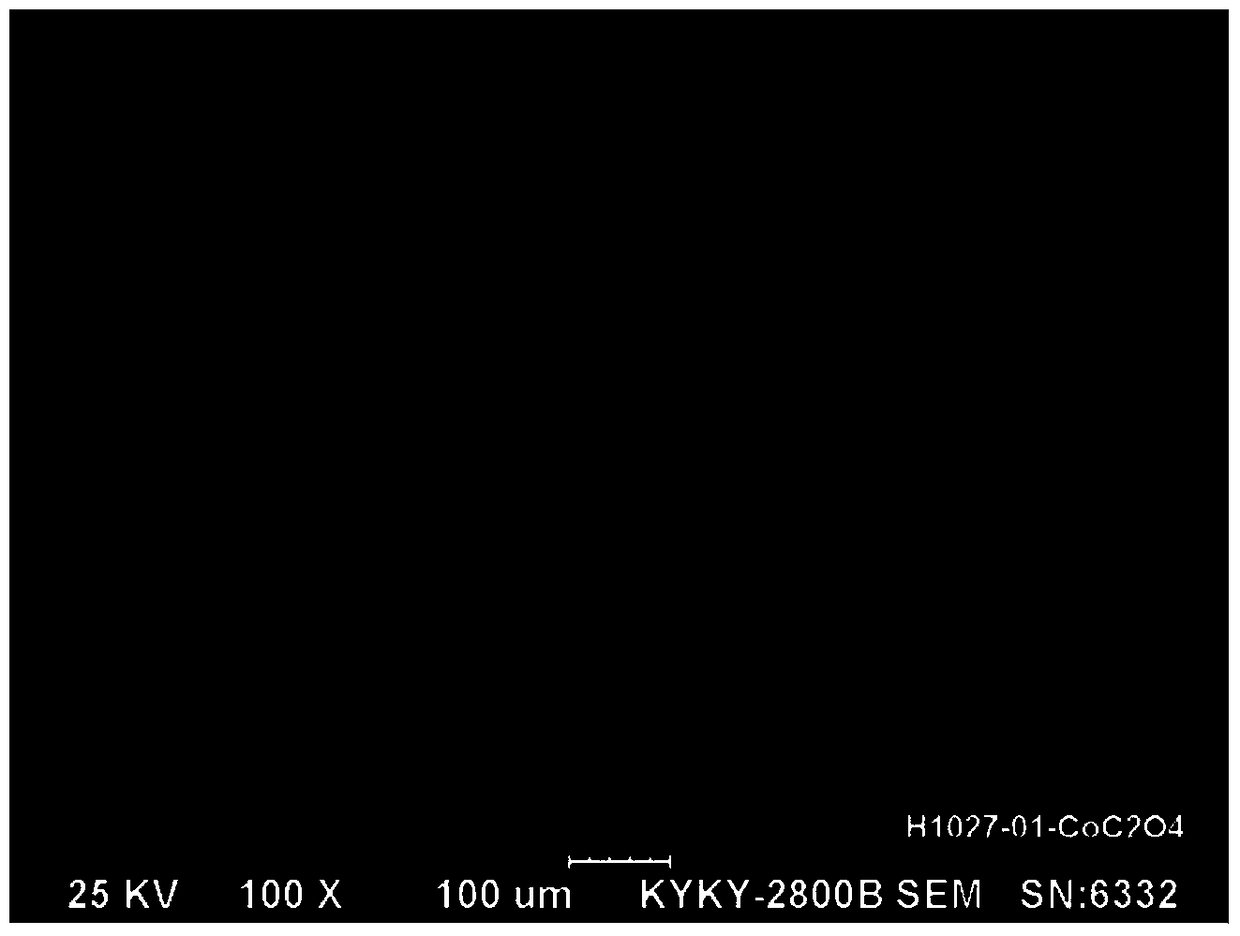 A kind of cobalt powder and its preparation method and cobalt oxalate precursor and its preparation method