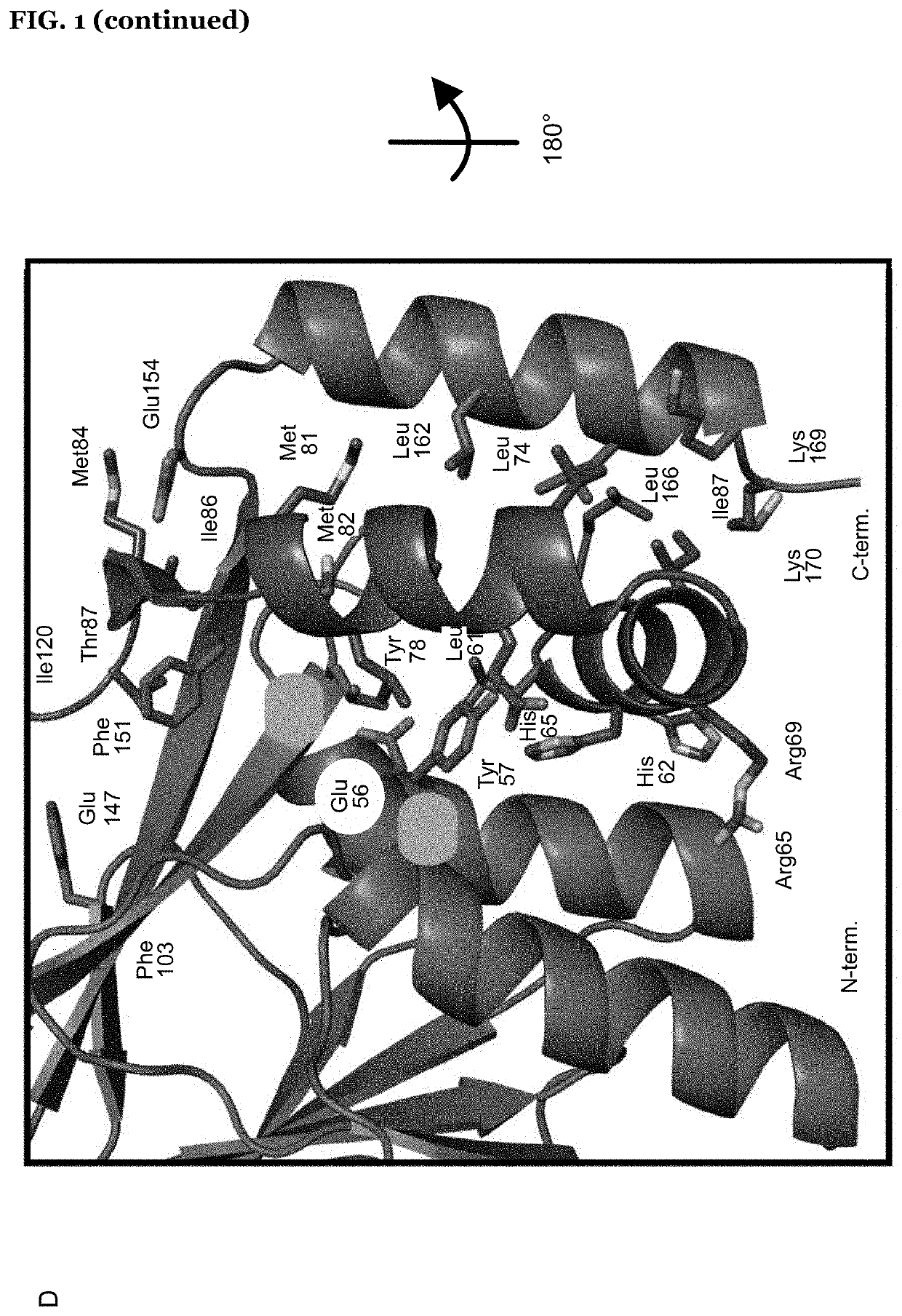 Methods for screening and identifying agents that inhibit or modulate the nuclear egress complex of herpesviruses