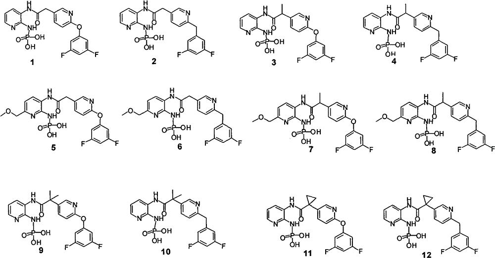 Phosphoramido pyridine derivative, and preparation method, medical composition and application thereof in antifungal agent