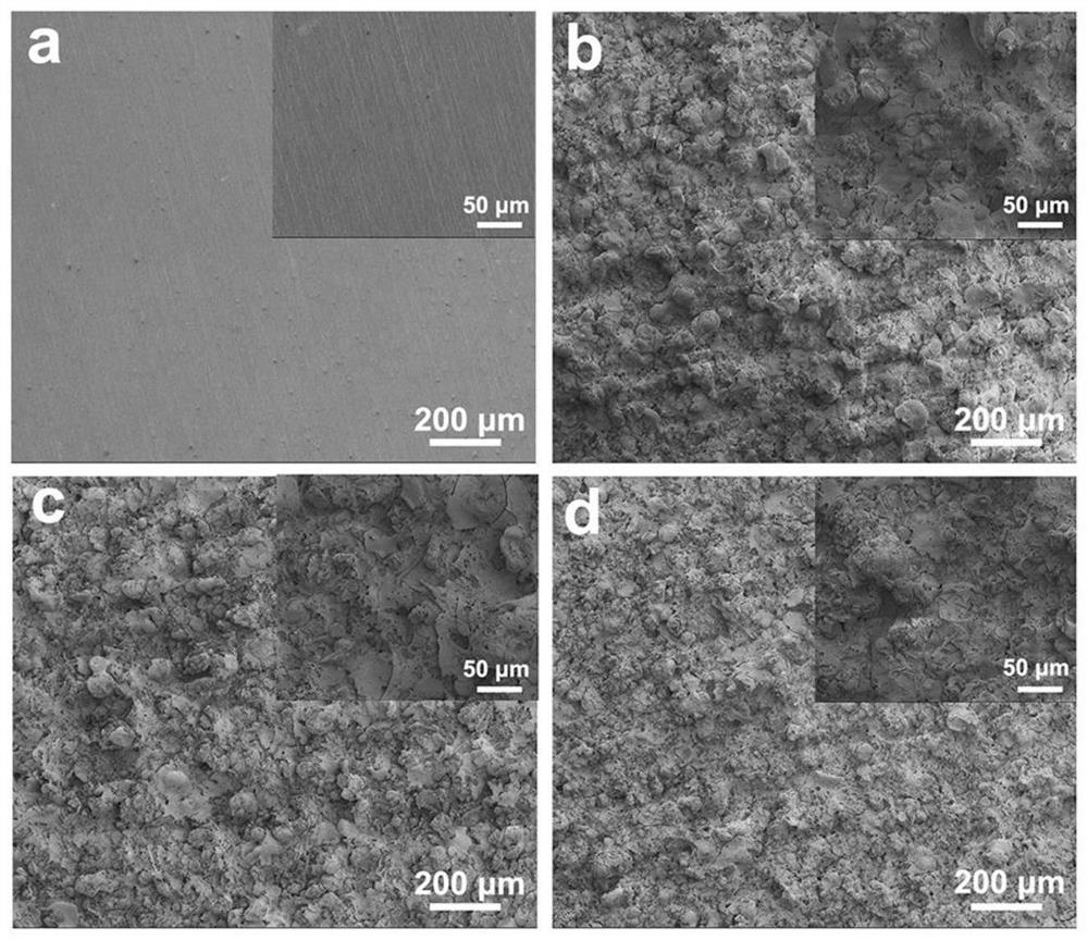 A kind of titanium-based active bone implant with composite coating and preparation method thereof