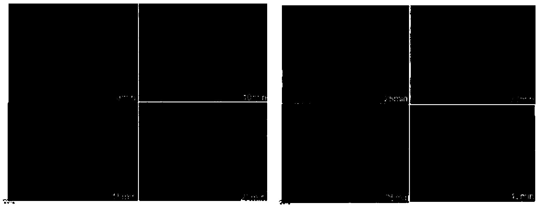 Culture apparatus used for temperature sensitive cells, preparation method thereof and cell culturing method