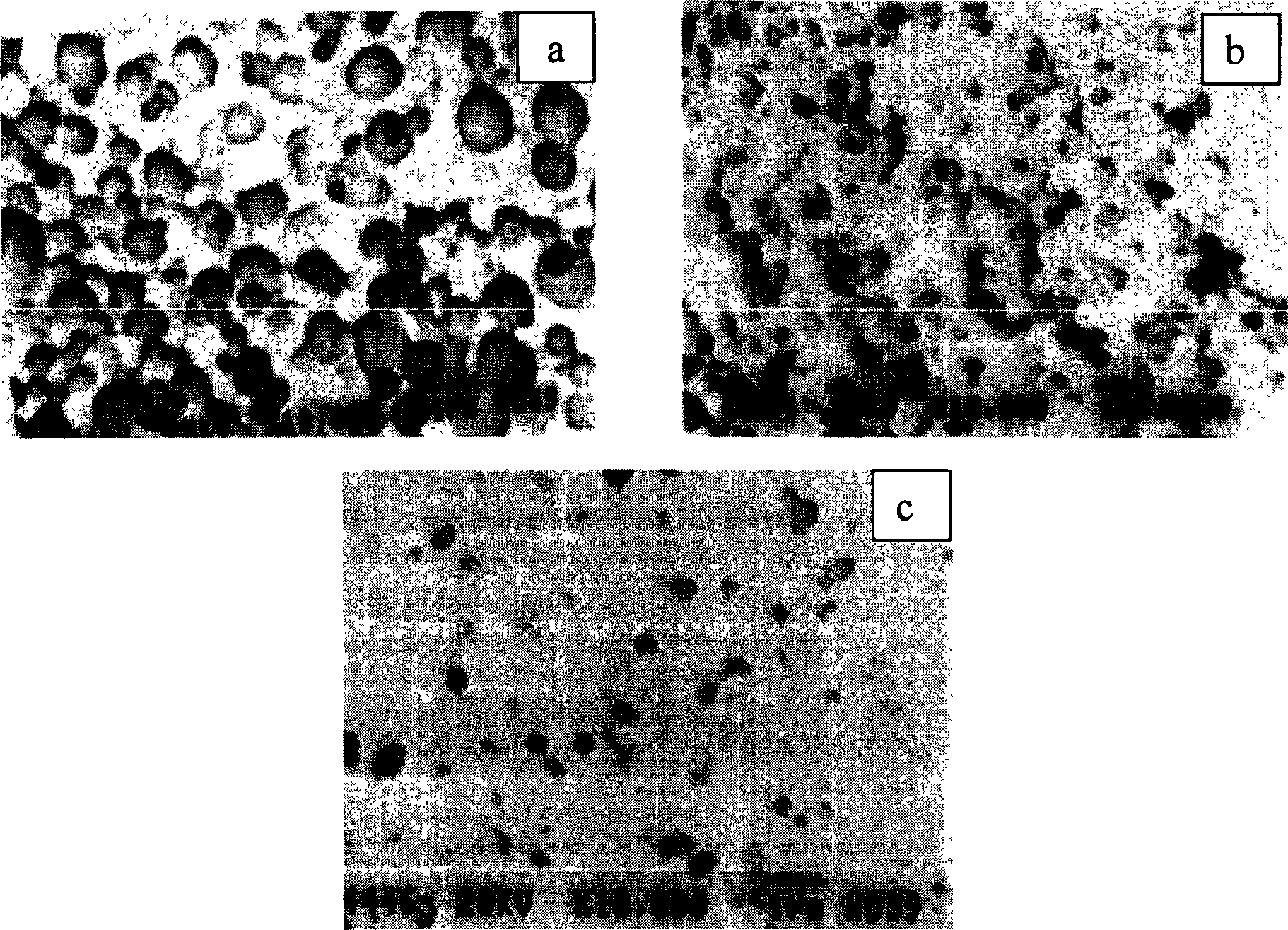 Nano micro ball with taxol capable of biologically degradating high molecule and its preparing method