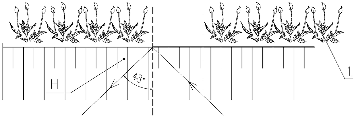 An underwater light control device