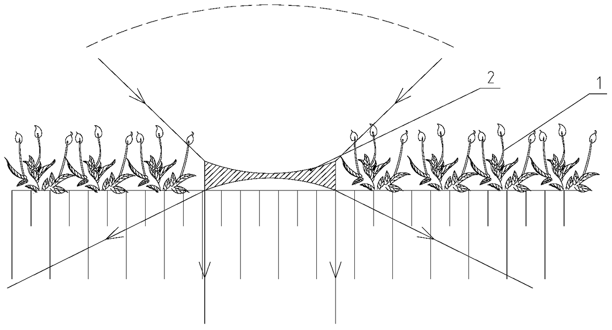 An underwater light control device