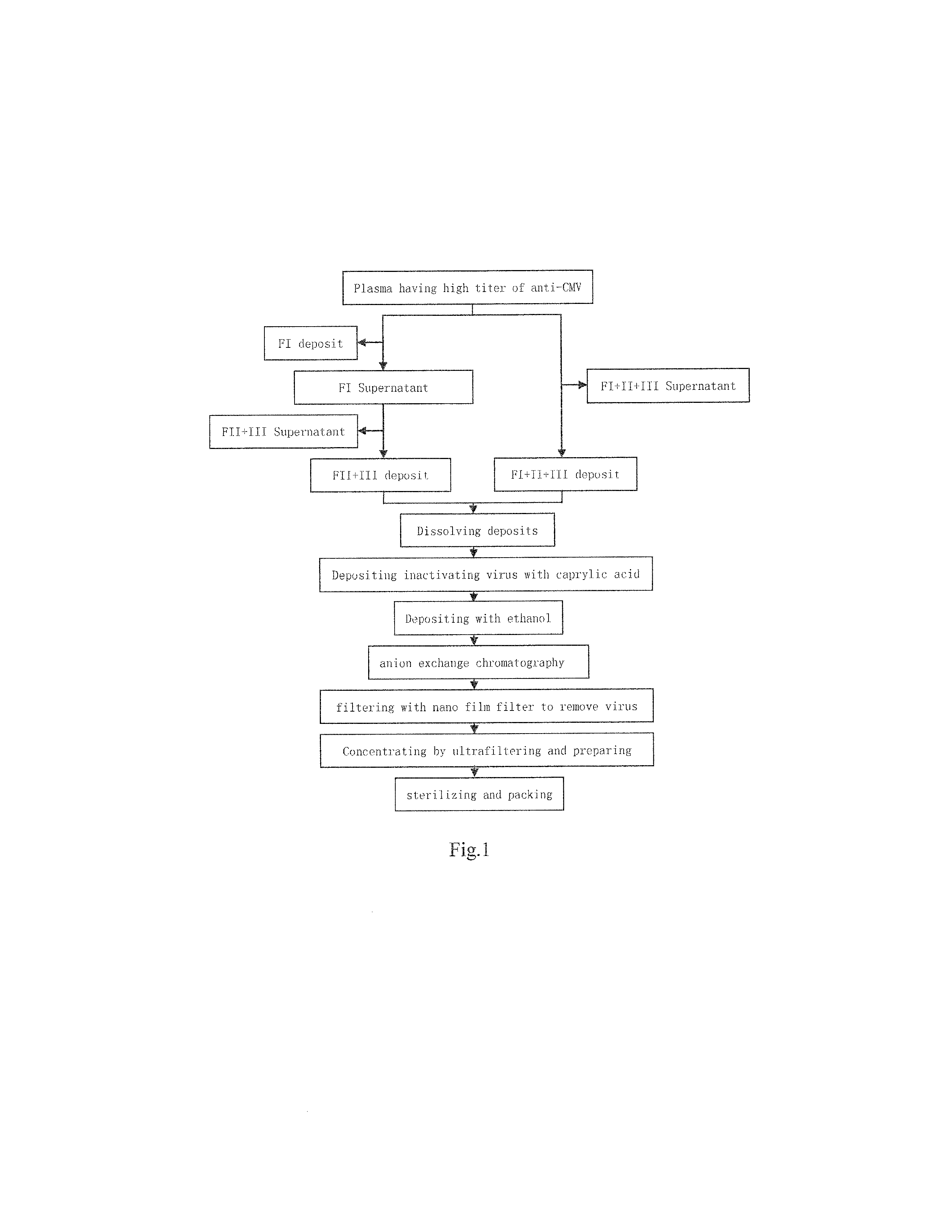 Intravenous Cytomegalovirus Human Immune Globulin and Manufacturing Method Thereof