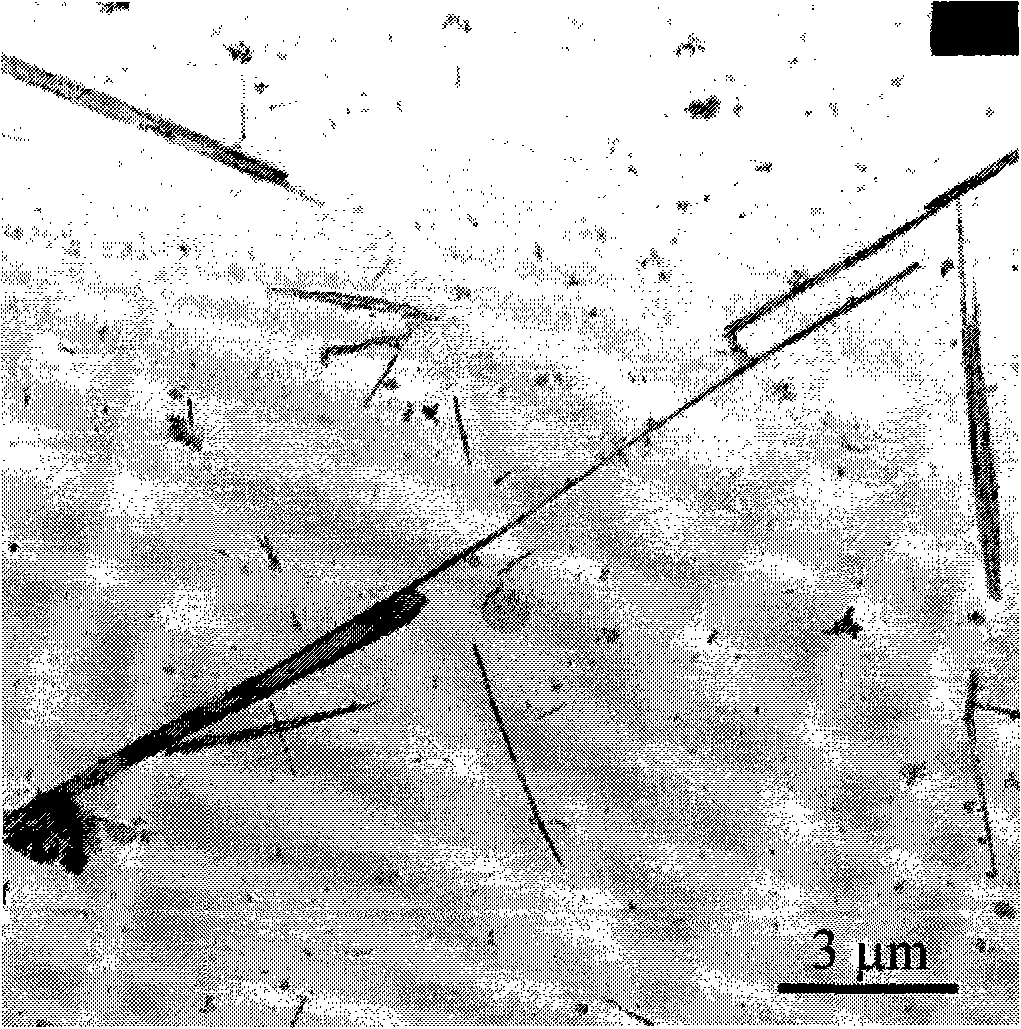 Method for preparing strontium titanate nanometer powder of one-dimensional structure