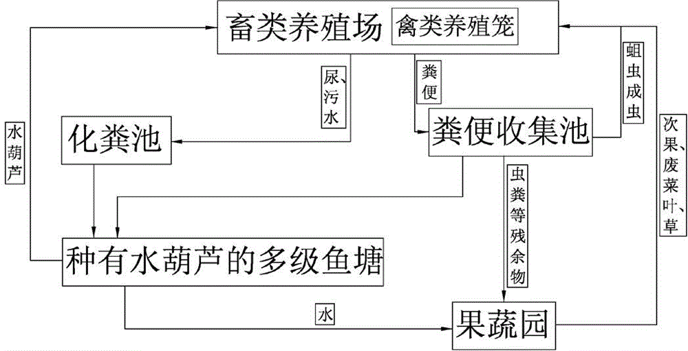 Poultry and livestock ecological cycle raising system and raising method