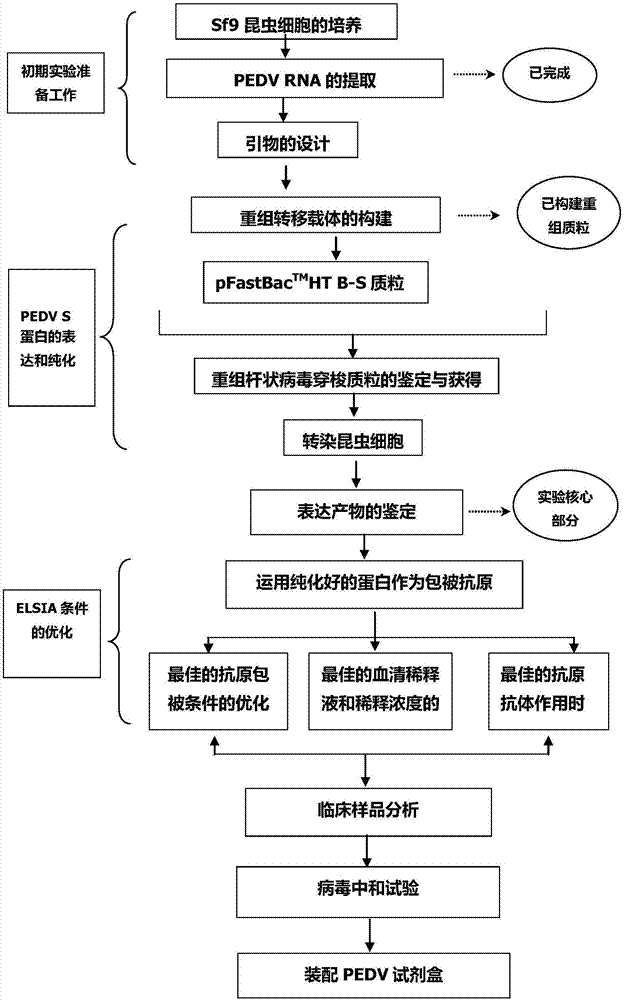 Novel antibody ELISA kit for porcine epidemic diarrhea