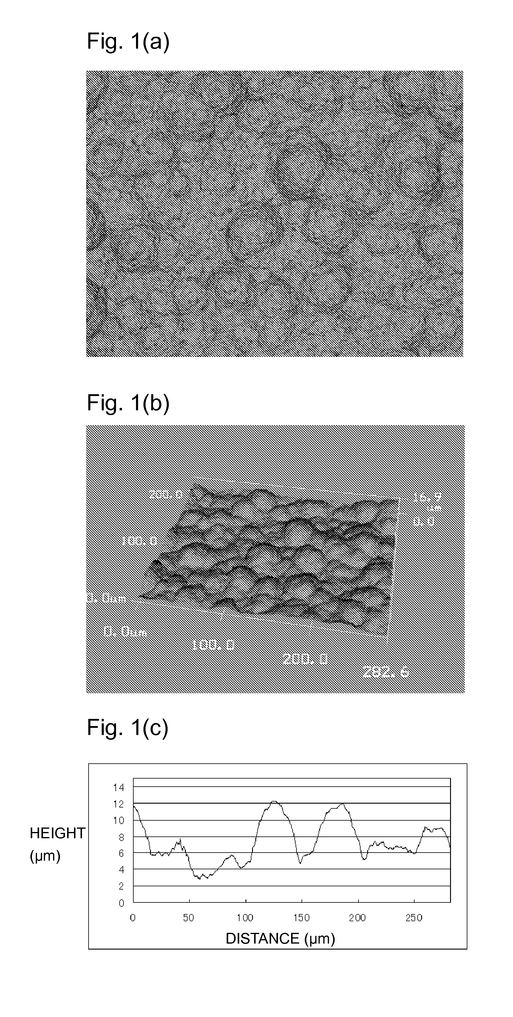 Semiconductor heat treatment member having sic film