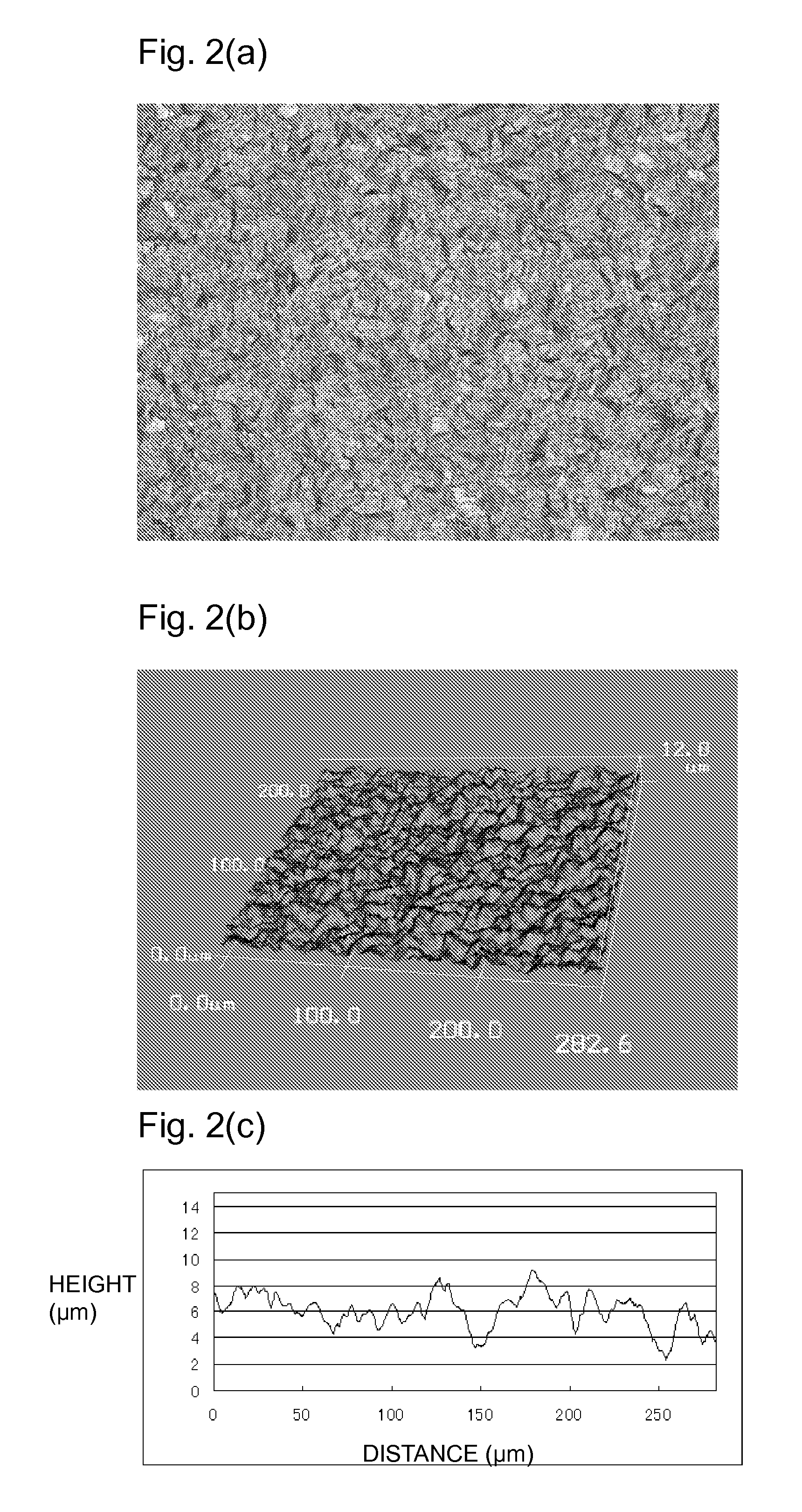 Semiconductor heat treatment member having sic film