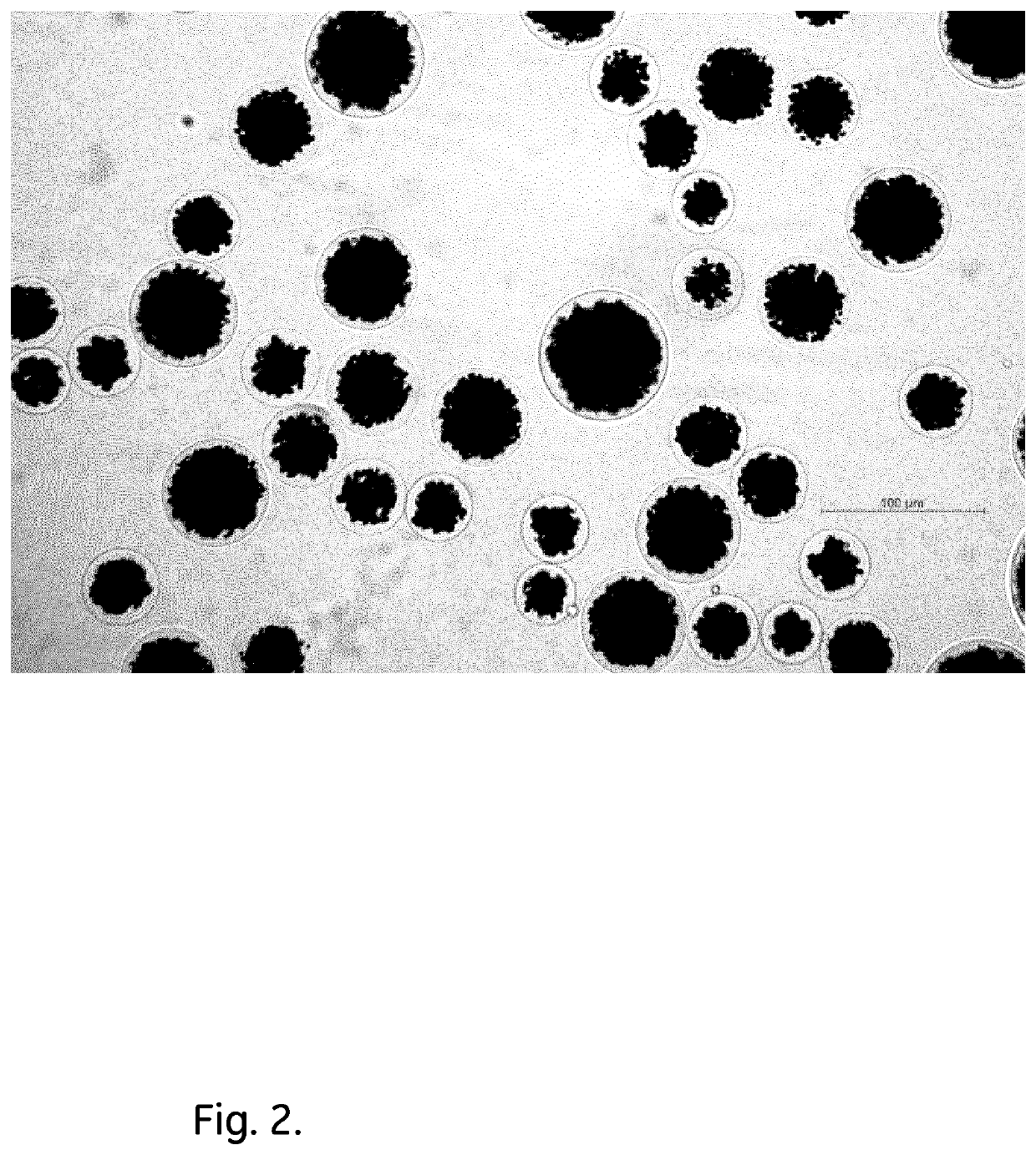 Magnetic Immunoglobulin-Binding Particles