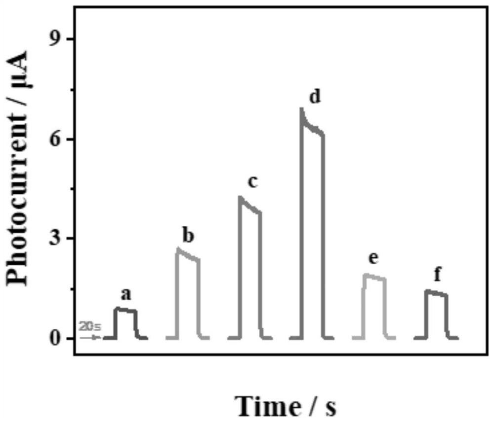 Preparation method of ZIF-8-derived ZnO/g-C3N4 and application of ZIF-8-derived ZnO/g-C3N4 in oxytetracycline sensor