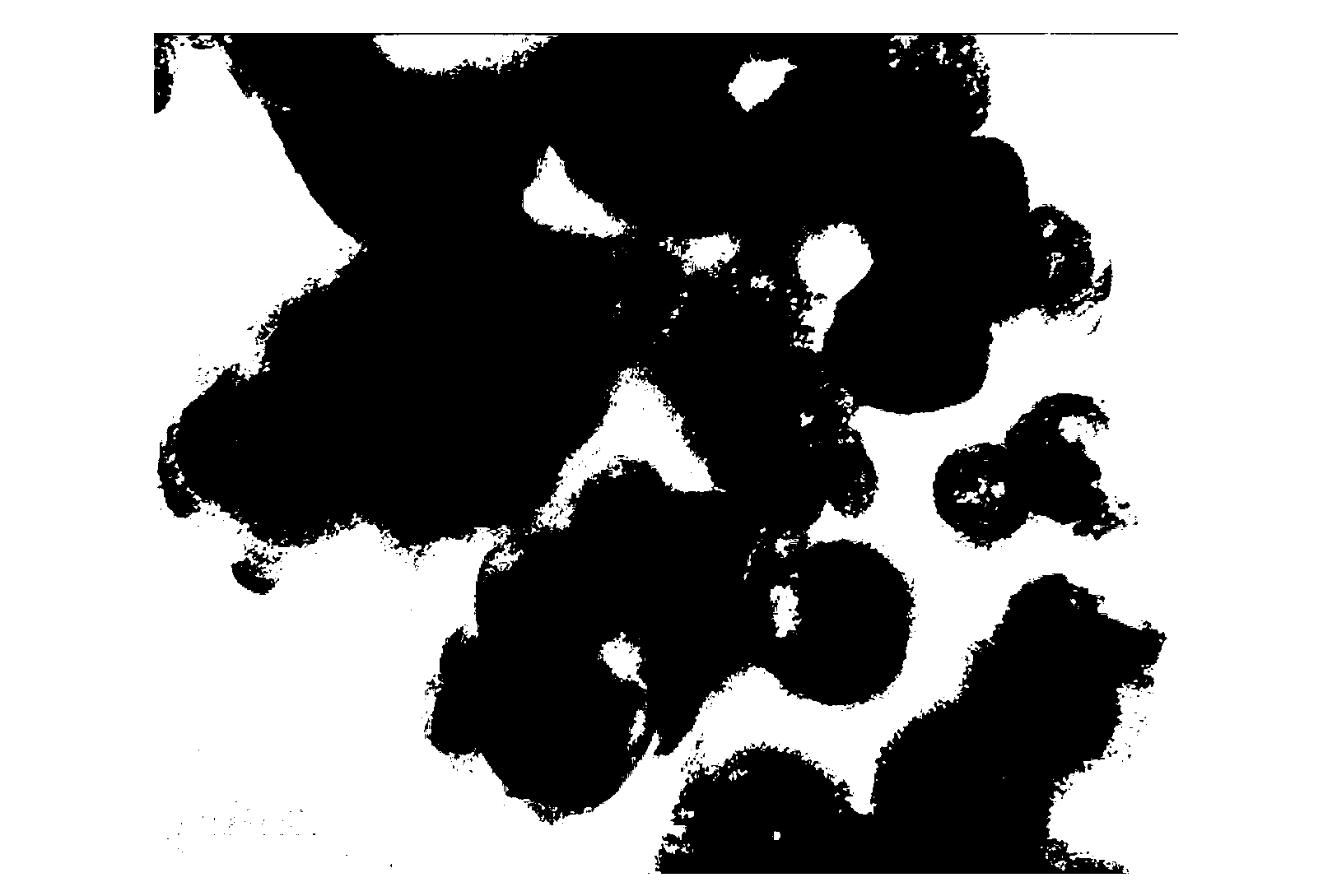 Silicon dioxide nano magnetic microsphere and preparation method thereof