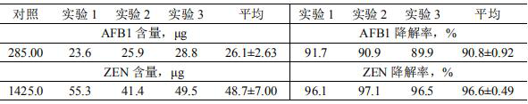 Compound fermentation inoculant for fermenting mycotoxin polluted feed and application of compound fermentation inoculant